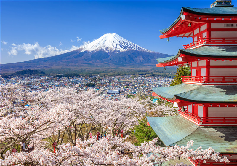 Temu在日本市场的发展前景
